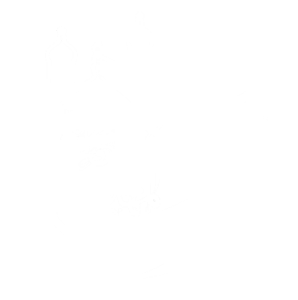 موکب المهدی (عج)